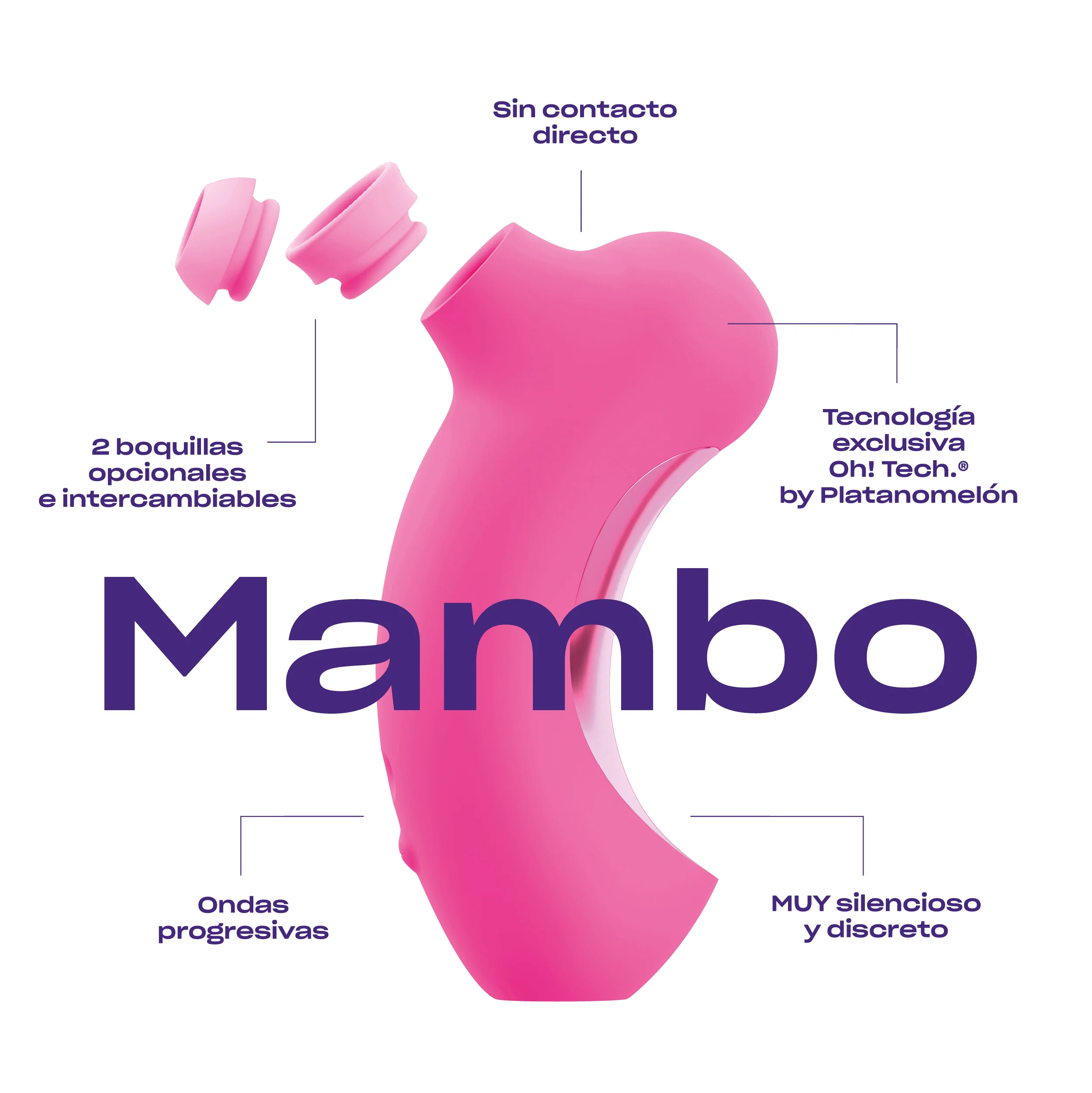 Mambo + Bali - Image 7