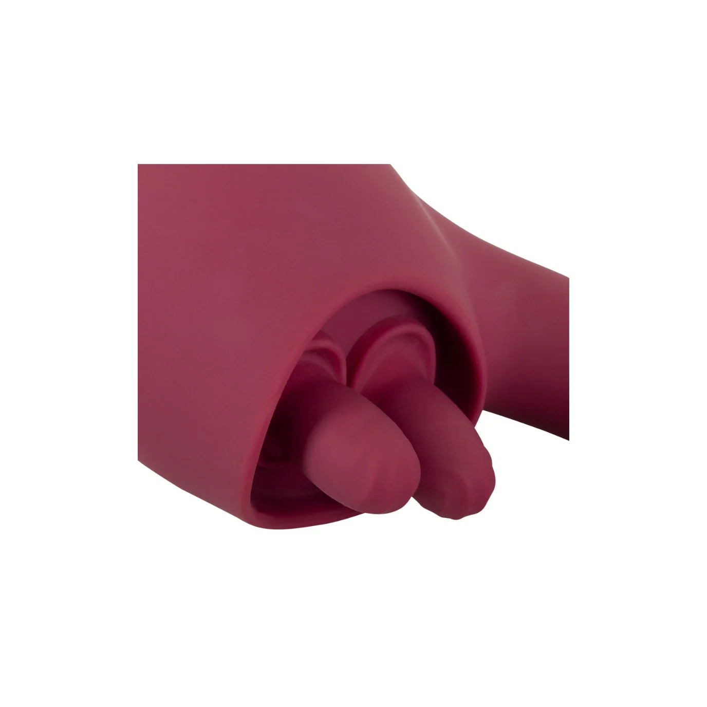 Telma - Image 4